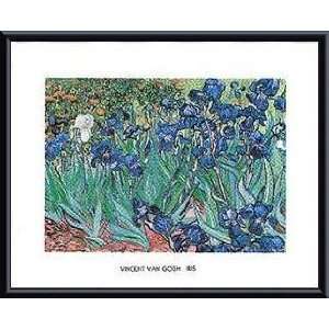   Iris   Artist Vincent Van Gogh  Poster Size 15 X 19