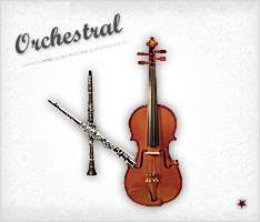 Click to Shop Orchestral Instruments