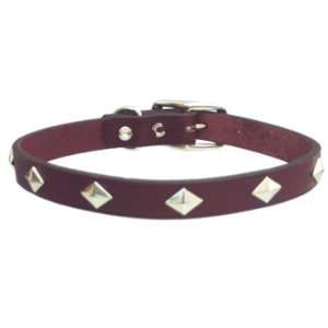   3/4 Diamond Stud Leather Collar in Mahogany Pet 